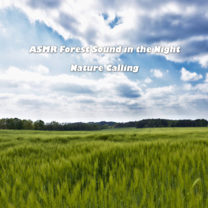 ดาวน์โหลดและฟังเพลง ASMR 밤의 숲소리ⅰ ASMR Forest Sound in the Nightⅰ พร้อมเนื้อเพลงจาก 네이쳐콜링