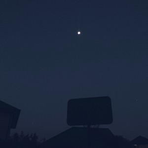 JeniusDoesBeatz的專輯7:01am