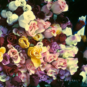 收聽Cathedrals的Want My Love歌詞歌曲