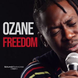 Listen to Freedom song with lyrics from Ozane