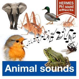 อัลบัม Animal Sounds (Long Versions) ศิลปิน Hermes Ph1 Sound-Effects