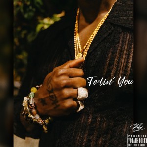 Album Feelin' You (Explicit) from Ace Hood