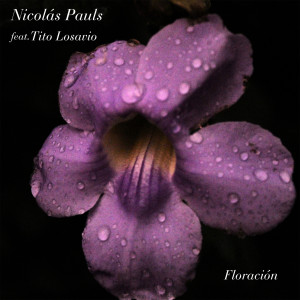 收聽Nicolas Pauls的Floración歌詞歌曲