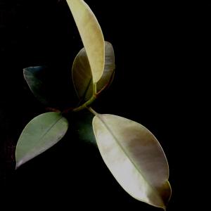 收聽Seko House的Open Blessing歌詞歌曲