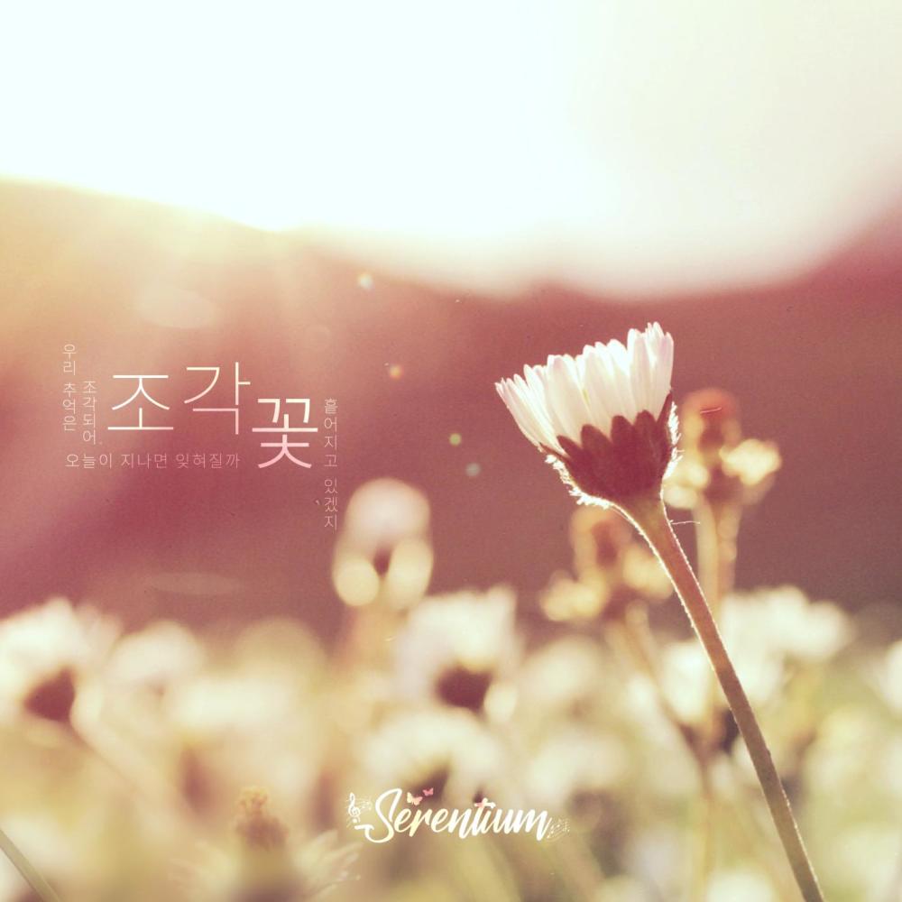 조각 꽃 (Instrumental)