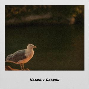 Album Negroid Lebron from Various