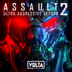 Raffael Gruber的專輯Assault 2