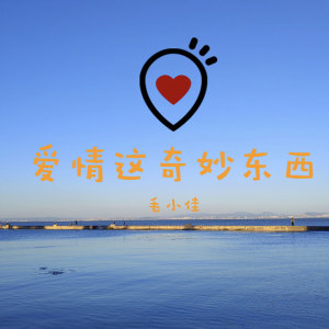 收听毛小佳的爱情这奇妙东西歌词歌曲