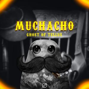 ดาวน์โหลดและฟังเพลง Muchacho พร้อมเนื้อเพลงจาก Ghost of Tellus