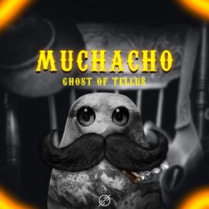 อัลบัม Muchacho ศิลปิน Ghost of Tellus