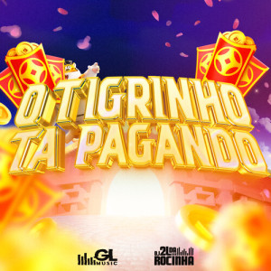 Listen to O Tigrinho Ta Pagando song with lyrics from DJ 2L Da Rocinha