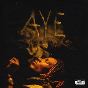ดาวน์โหลดและฟังเพลง Aye (Explicit) พร้อมเนื้อเพลงจาก Fetty Wap