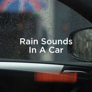 ดาวน์โหลดและฟังเพลง Study Rain พร้อมเนื้อเพลงจาก Rain Sounds