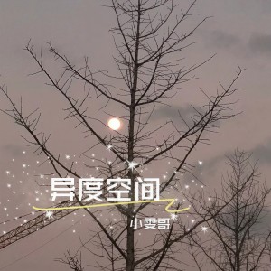 收聽小雯哥的的士高 (DJ版)歌詞歌曲