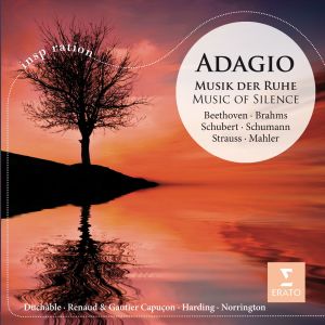 收聽Renaud Capuçon & Daniel Harding的Piano Trio No. 2 in E-Flat Major, D. 929: II. Andante con moto歌詞歌曲