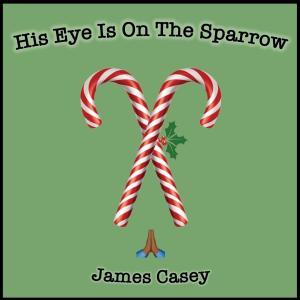 james casey的專輯His Eye Is On The Sparrow