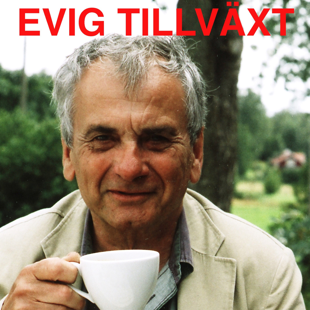 Evig tillväxt