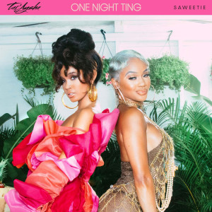 ดาวน์โหลดและฟังเพลง One Night Ting (feat. Saweetie) (Clean) พร้อมเนื้อเพลงจาก Tai'Aysha