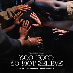 Tribl的專輯Too Good To Not Believe (feat. Lizzie Morgan, Cecily & Melvin Crispell III)