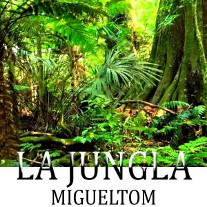 Migueltom的專輯la jungla