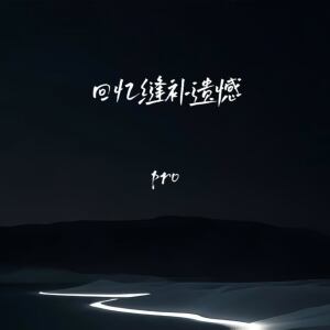 Album 回忆缝补遗憾 from pro