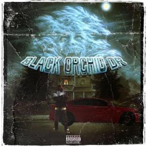 收聽DecembeRR的BERSERK (Explicit)歌詞歌曲