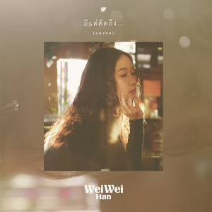 收聽เหวย เหวย的มีแต่คิดถึง (Cover)歌詞歌曲