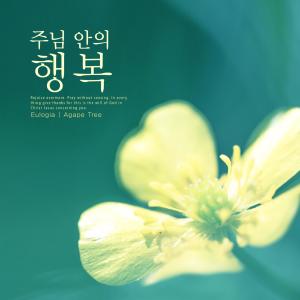 Album Happiness in the Lord from 