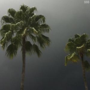 收聽$UICIDEBOY$的Muddy Blunts (Explicit)歌詞歌曲