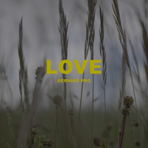 Listen to Love song with lyrics from Dernier Pro