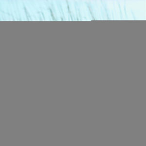 ดาวน์โหลดและฟังเพลง By The Sea พร้อมเนื้อเพลงจาก Music-Themes