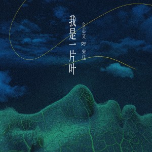 Album 我是一片叶 oleh 金志文
