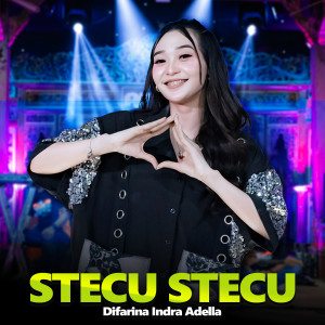 Difarina Indra Adella的專輯Stecu Stecu