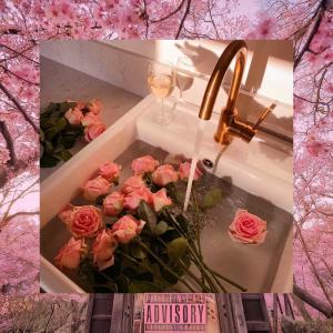 Listen to H O W L (Explicit) song with lyrics from Night