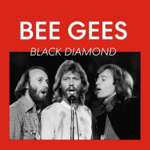 Bee Gees的專輯Black Diamond