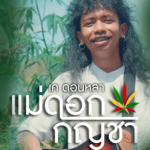 ดาวน์โหลดและฟังเพลง แม่ดอกกัญชา พร้อมเนื้อเพลงจาก เค ดอนหลา