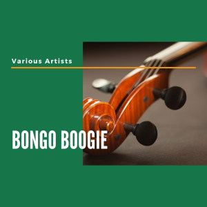 Various Artists的專輯Bongo Boogie
