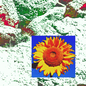 Listen to No Brillan Los Azulejos song with lyrics from Muriel