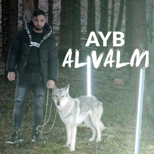 Listen to Alvalm (Explicit) song with lyrics from AYB