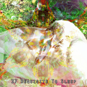 ดาวน์โหลดและฟังเพลง Outer Body Dream พร้อมเนื้อเพลงจาก Deep Sleep Relaxation