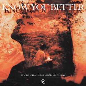Listen to Know You Better (feat. LeftLukas) song with lyrics from BTWRKS