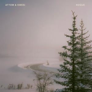 ดาวน์โหลดและฟังเพลง Rogue พร้อมเนื้อเพลงจาก Attom