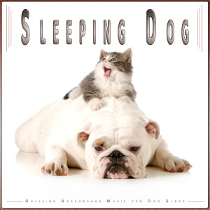 Album Sleeping Dog: Relaxing Background Music for Dog Sleep oleh Dog Music Dreams