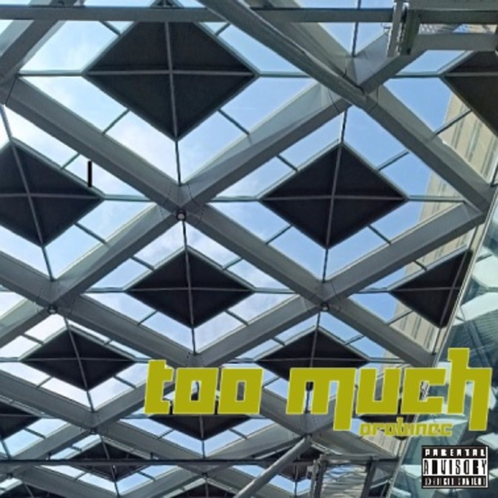 Too Much (Explicit)