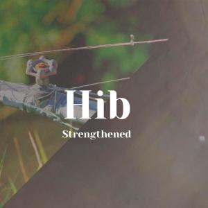 Various的专辑Hib Strengthened