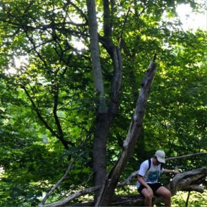 Listen to Ginseng Strip 2002 (Explicit) song with lyrics from Yung Lean