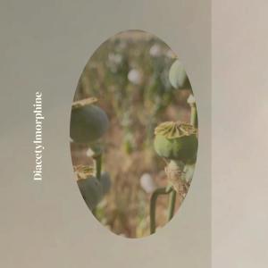 ดาวน์โหลดและฟังเพลง Hum Hey พร้อมเนื้อเพลงจาก Rany Jimal