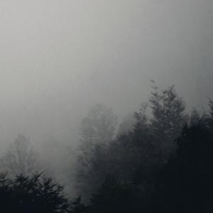 ดาวน์โหลดและฟังเพลง Niebla พร้อมเนื้อเพลงจาก Camion