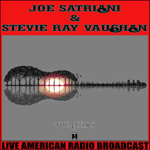 收聽Joe Satriani的The Feeling (Live)歌詞歌曲