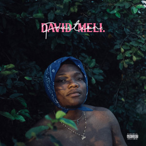 收听David Meli的Biko歌词歌曲